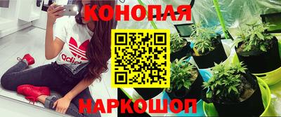 тгк Ливны