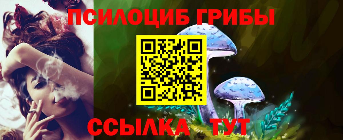 Псилоцибиновые грибы MAGIC MUSHROOMS  Вход с VPN  сколько стоит  Губаха 