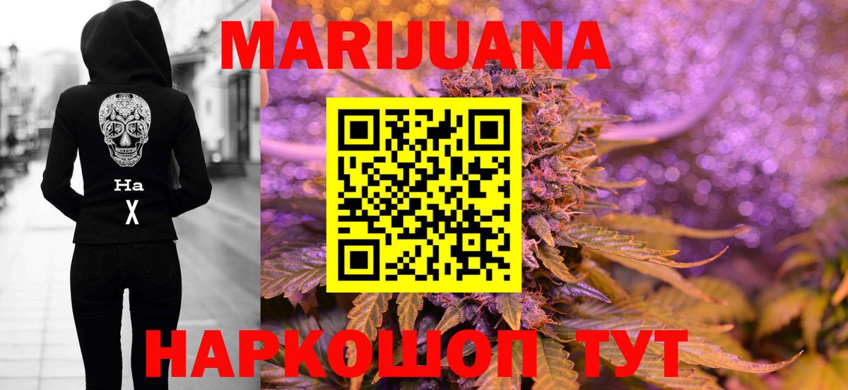 Канабис конопля Губаха